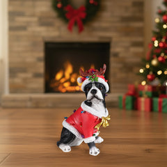 Christmas Boston Terrier Statue with Santa Outfit - Red & White