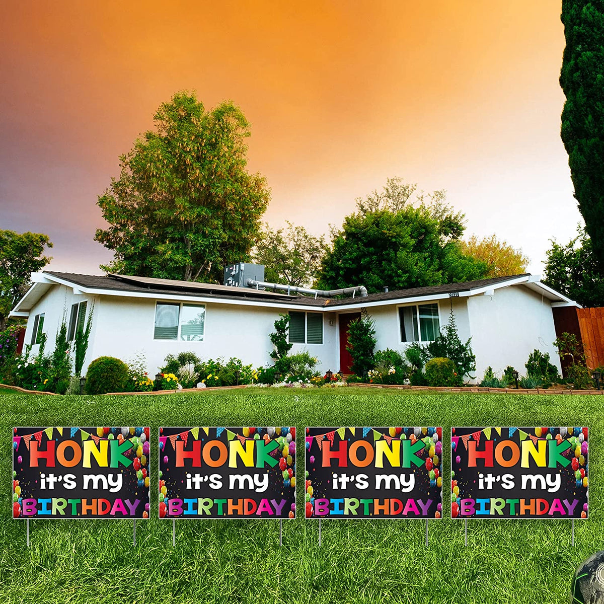 Honk It's My Birthday Yard Sign Set of 4