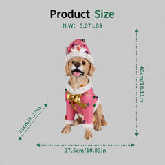 Christmas Labrador Retriever Statue with Santa Outfit - Multicolor