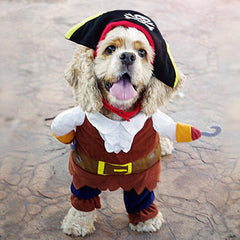 Pirate Dog Costume
