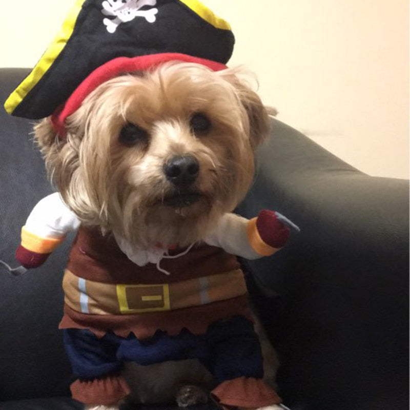Pirate Dog Costume