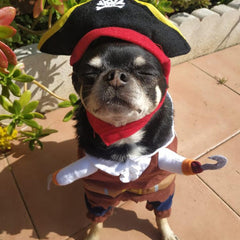 Pirate Dog Costume