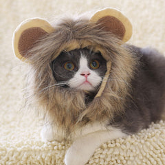 Lion Wig Cap for Cats or Dogs