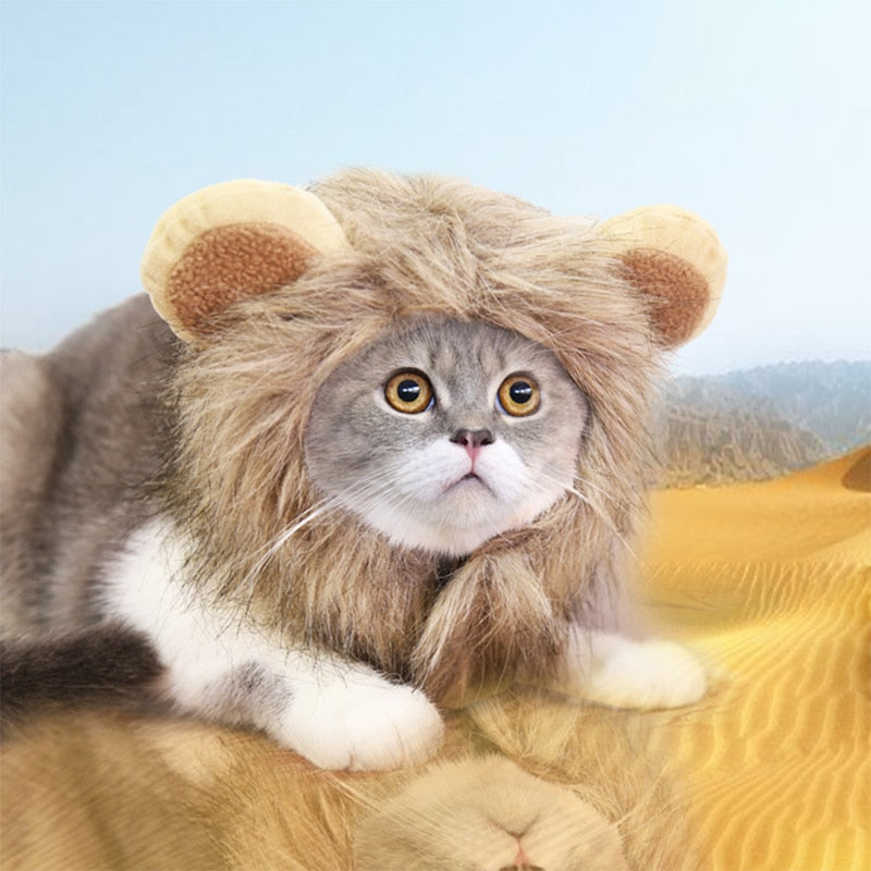 Lion Wig Cap for Cats or Dogs