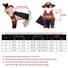 Pirate Costume for Cats