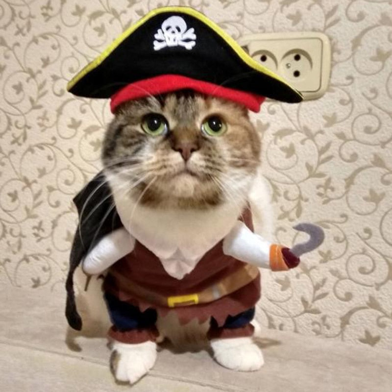Pirate Costume for Cats