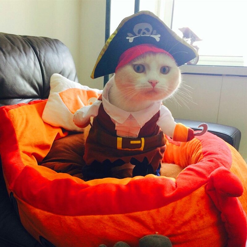 Pirate Costume for Cats