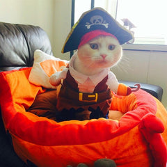 Pirate Costume for Cats