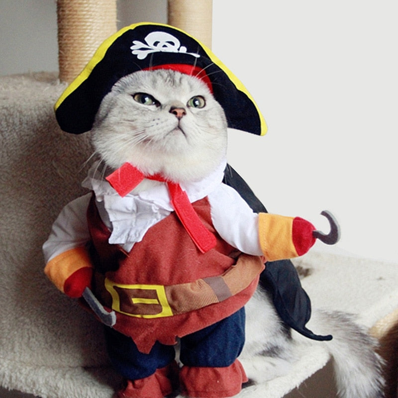 Pirate Costume for Cats