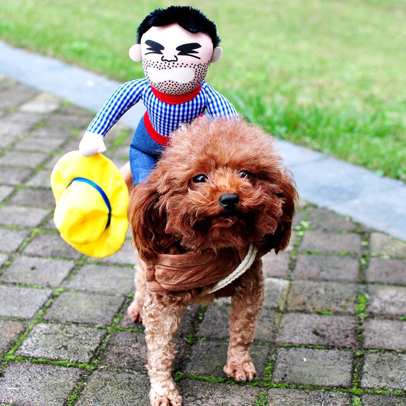 Dog Costume