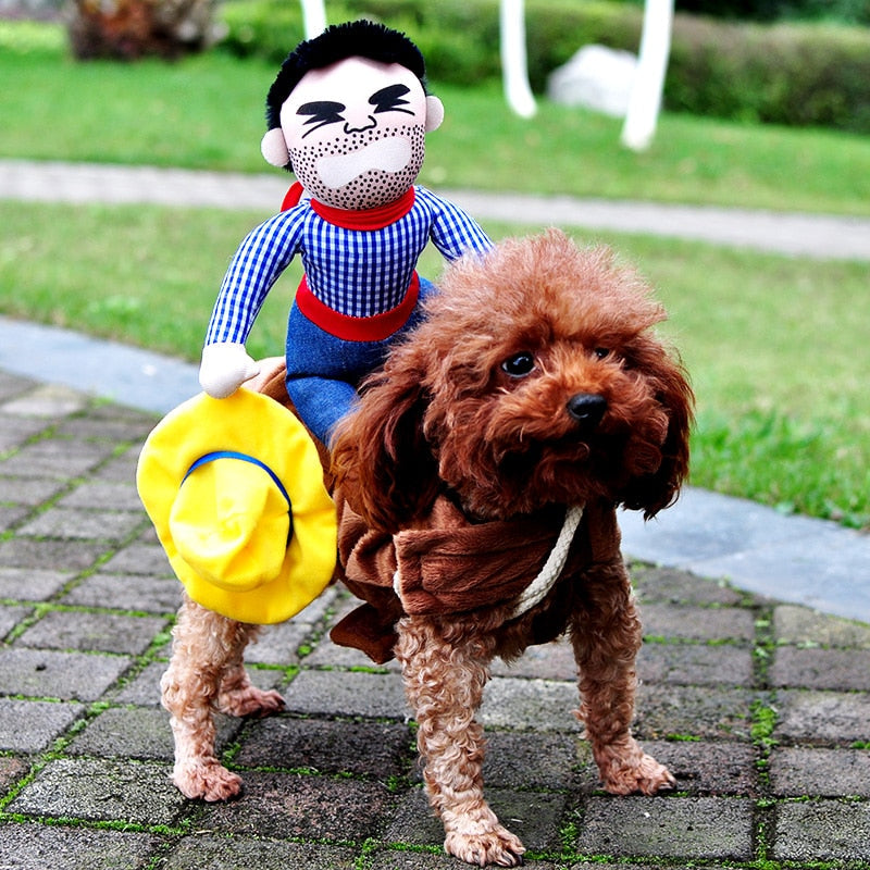 Dog Costume