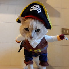 Pirate Dog Costume