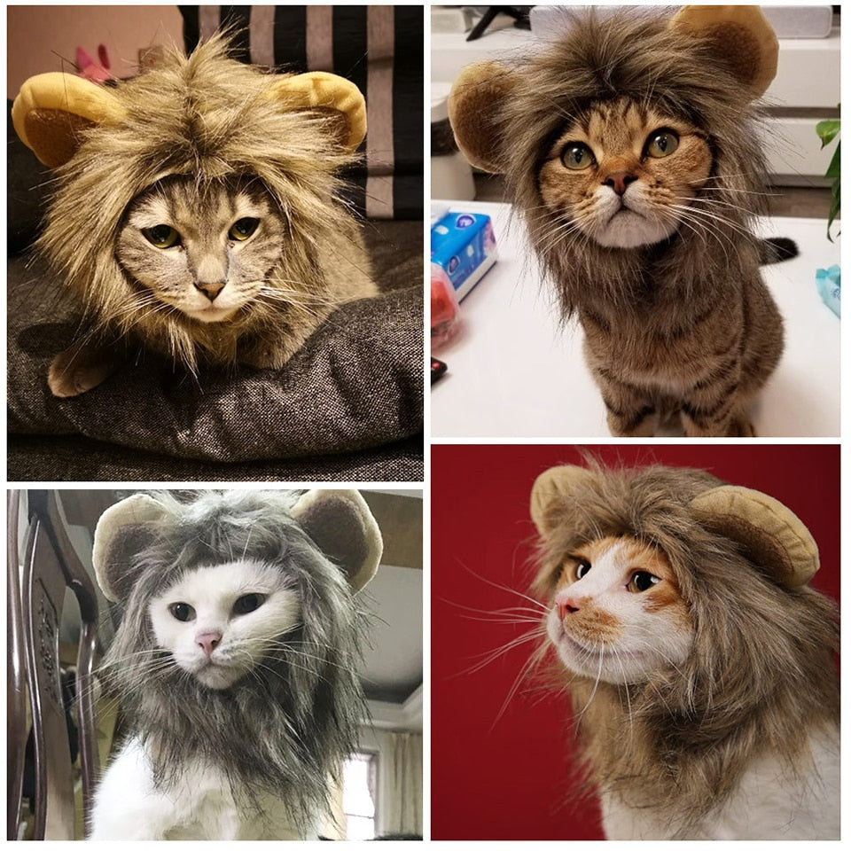 Lion Wig Cap for Cats or Dogs