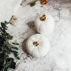 Marilyn Pumpkins LED