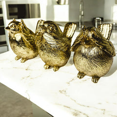3 Wise Birds