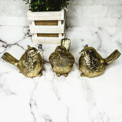 3 Wise Birds