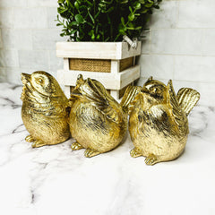 3 Wise Birds