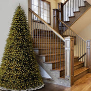 Downswept Douglas Fir Pre-Lit Christmas Tree with Dual Color LEDs, 9 to 10 ft