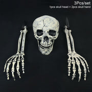 Halloween Skeleton Skull Prop