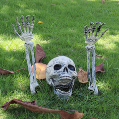 Halloween Skeleton Skull Prop