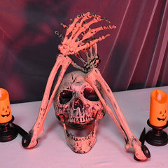 Halloween Skeleton Skull Prop
