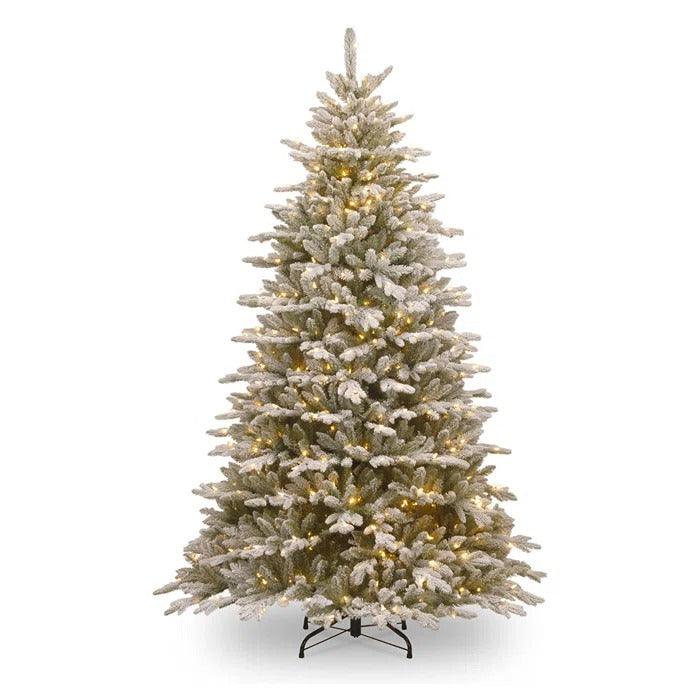 7.5 ft Snowy Sierra Spruce Pre-Lit Christmas Tree