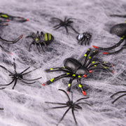Halloween Spider & Web Decorations