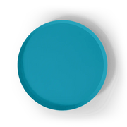 Aqua Blue Paper Party Plate (8pcs)