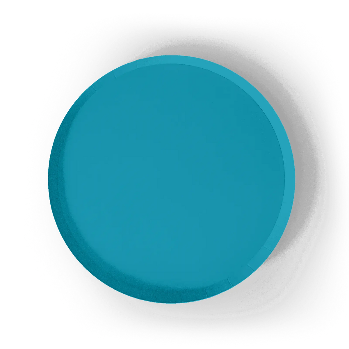 Aqua Blue Paper Party Plate (8pcs)