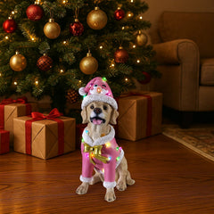 Christmas Labrador Retriever Statue with Santa Outfit - Multicolor