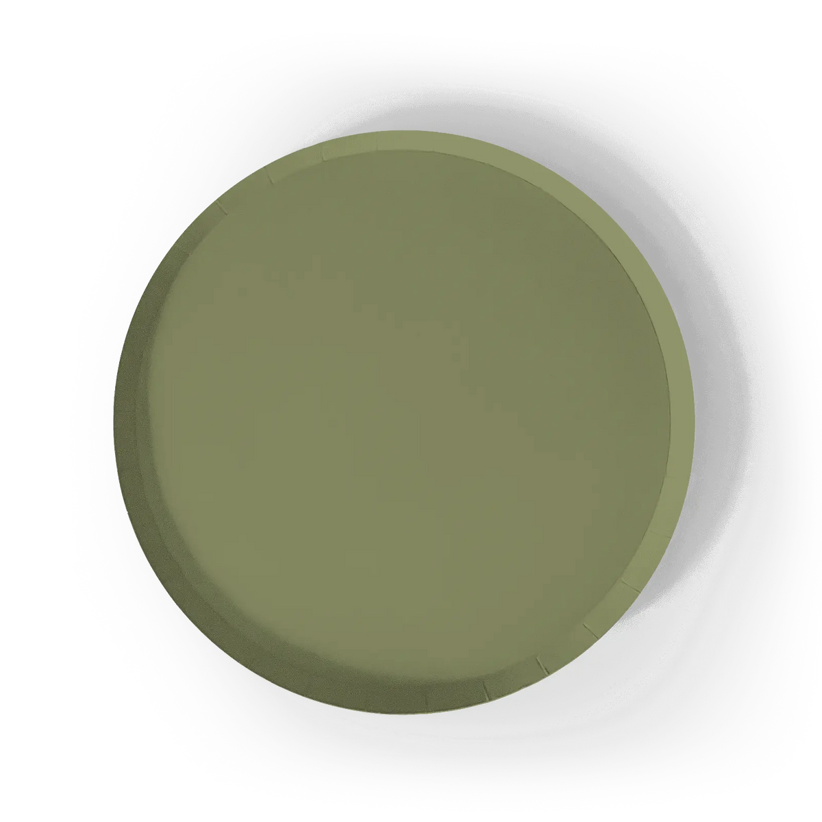 Green Paper Party Plate (12pcs)