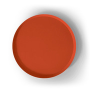 Orange Paper Party Plate (8pcs)