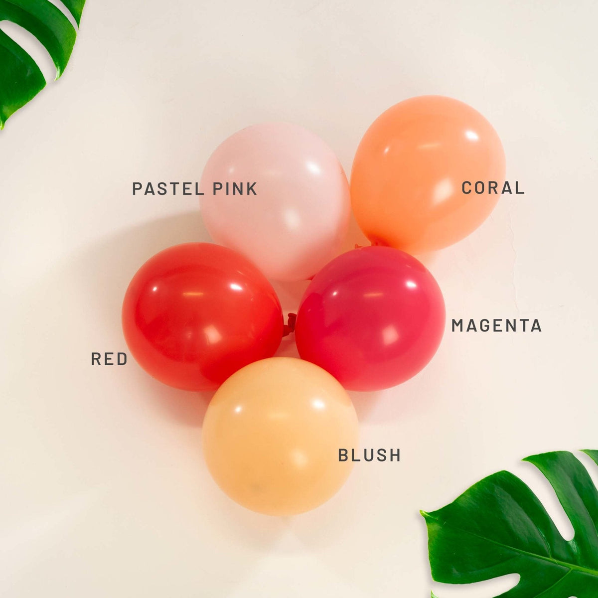 Premium Magenta Latex Balloon Cluster (5", 11” and 17”)