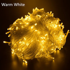 Holiday LED christmas lights outdoor Super Bright