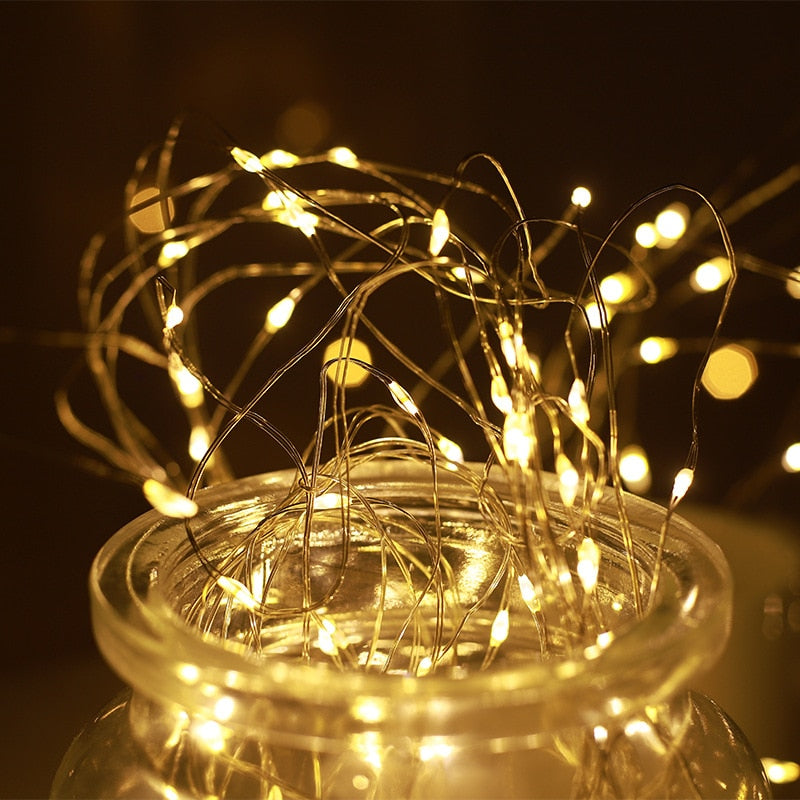 Silver Wire LED Fairy String Lights