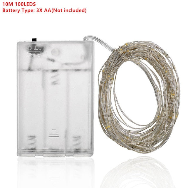 Silver Wire LED Fairy String Lights