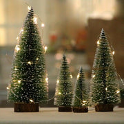 Mini White Cedar Desktop Christmas Trees, 10 to 30 cm