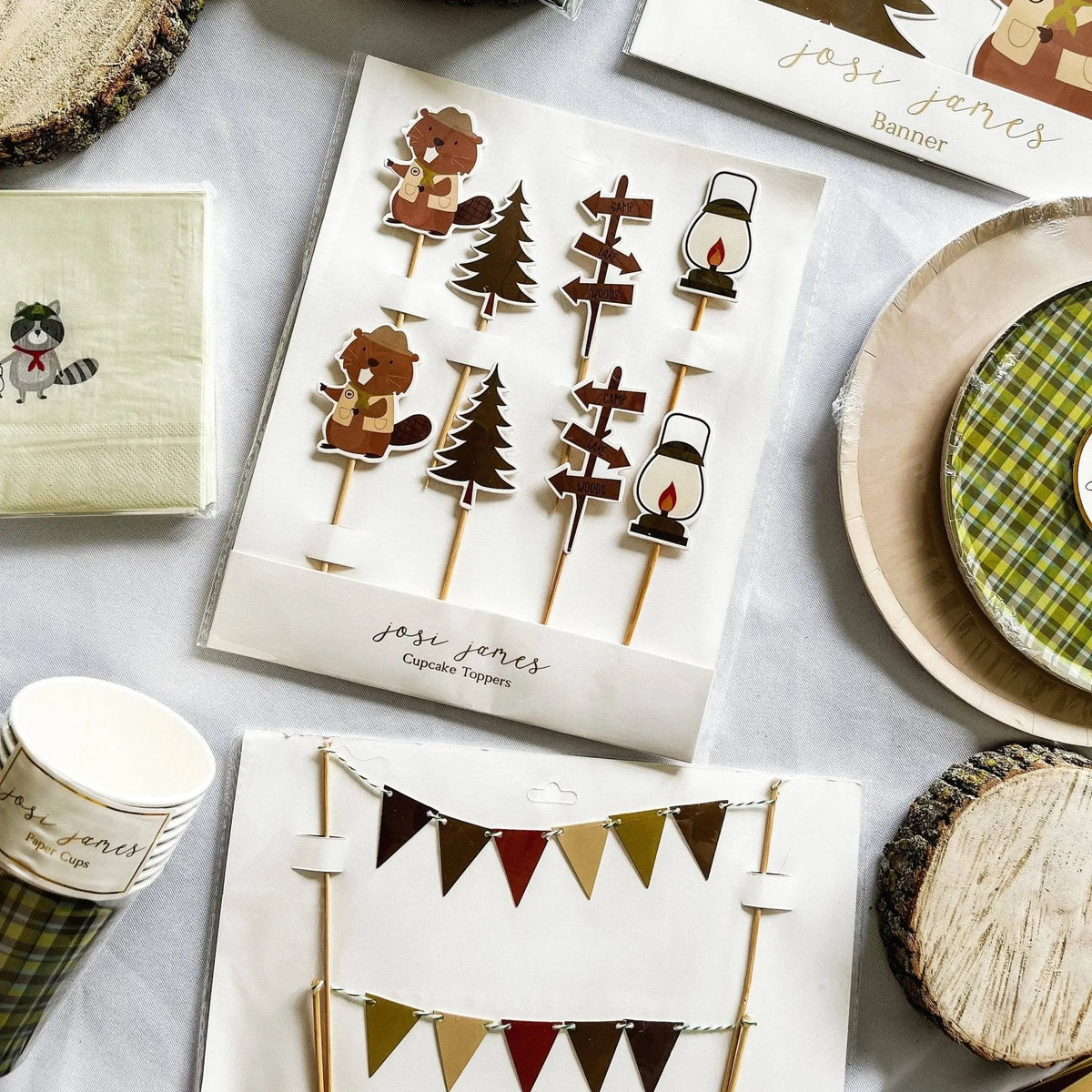 Scout Cake Banner