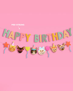 Crazy Cat Banner - really fun party banner
