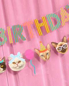 Crazy Cat Banner - really fun party banner