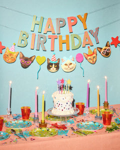 Crazy Cat Banner - really fun party banner